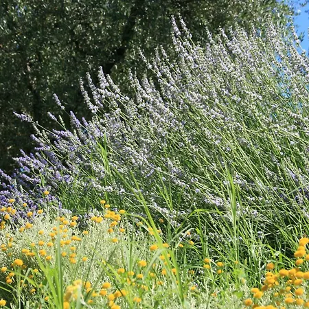 Szálloda Catullo 3*