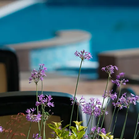 酒店 卡图洛酒店 3*