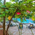 Hotel Catullo 3*
