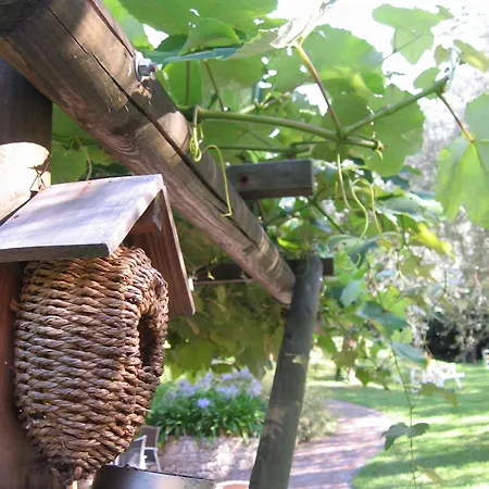 Hotel Catullo Malcesine