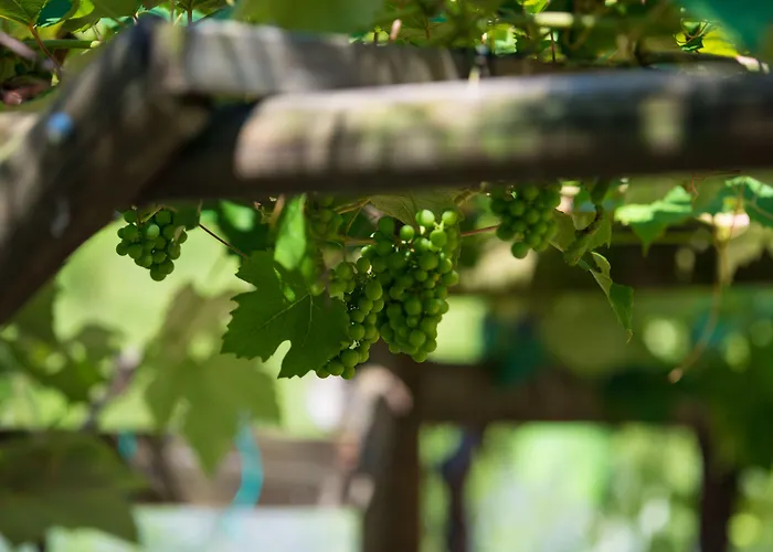 Catullo 3* Мальчезине